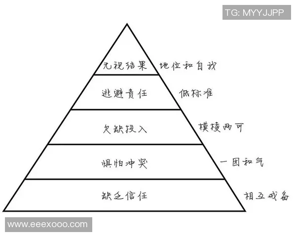 武汉排球队灵活性解析：战术创新与团队协作的完美结合